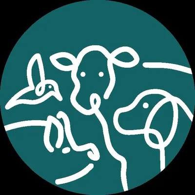 @almightyanimalsanctuary profile image