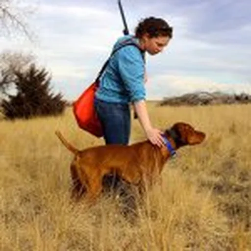 @alpine.vizslas profile image
