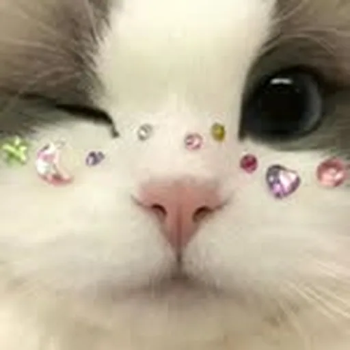 @aluu_seowon profile image