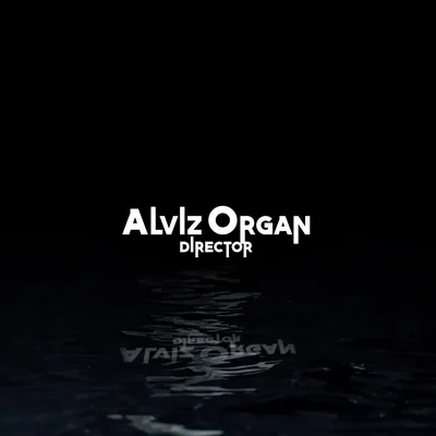 @alviz.organ profile image
