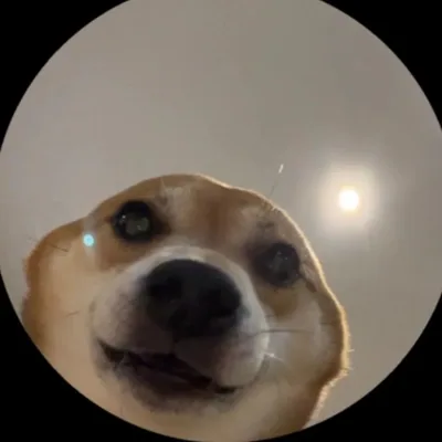 @always__winnie profile image