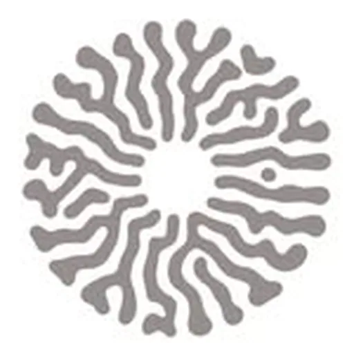 @amaala_sa profile image