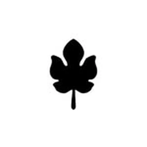 @amanoatl profile image