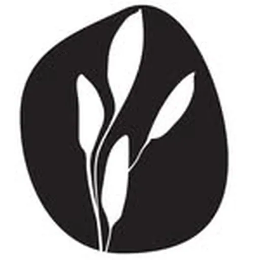@amarkhamar profile image