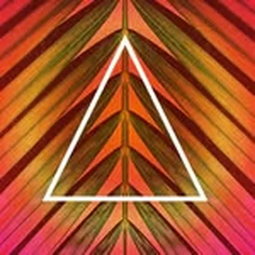 @amata.sp profile image