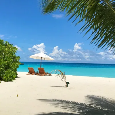 @amazing__maldives profile image
