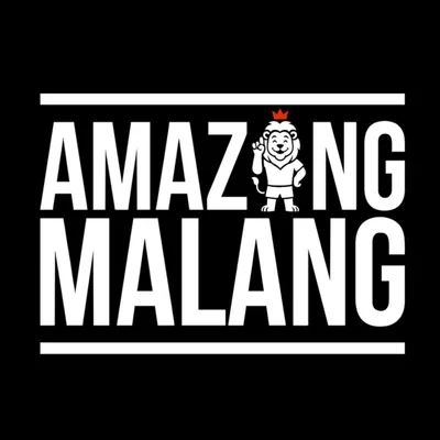 @amazingmalang profile image