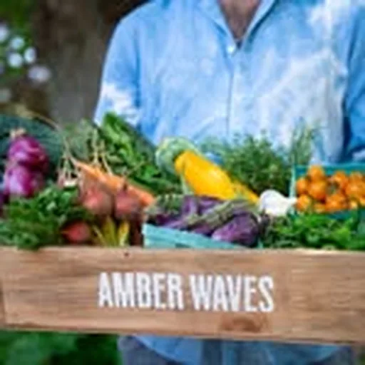 @amberwavesfarm profile image