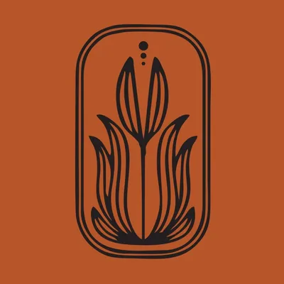 @ambretteperfumery profile image