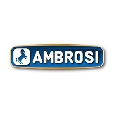@ambrosicheeseusa profile image