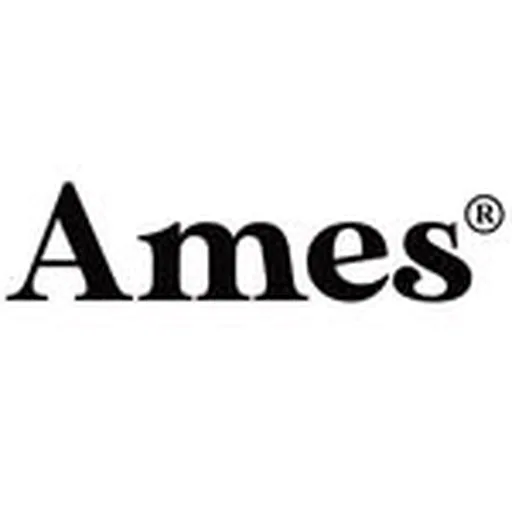 @ames_worldwide profile image
