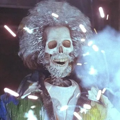 @amillionflamingskulls profile image