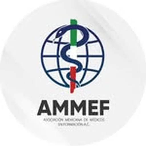 @ammef.mx profile image