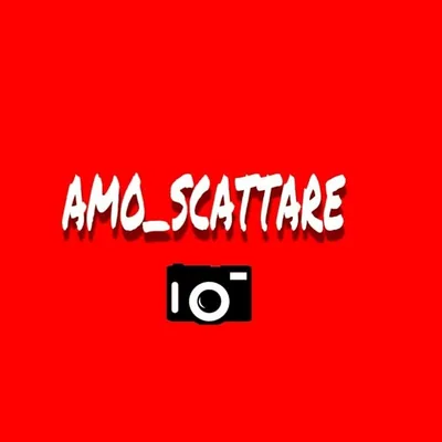@amo_scattare profile image