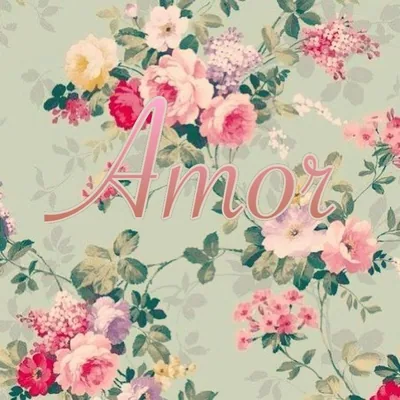 @amor profile image