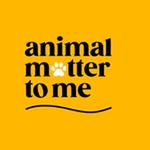 @amtmindia profile image