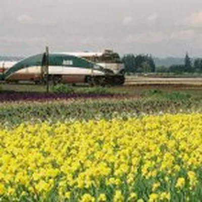 @amtrak_cascades profile image