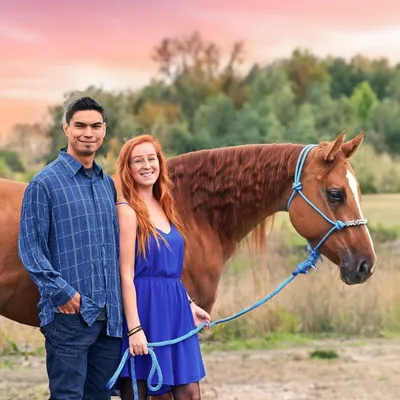@amyeequestrian profile image