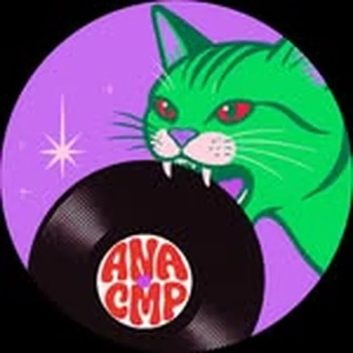 @anacmp profile image