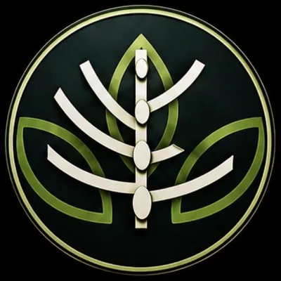 @anayatrance profile image