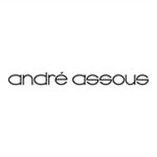 @andre_assous profile image