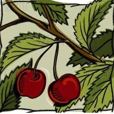 @andysorchard profile image