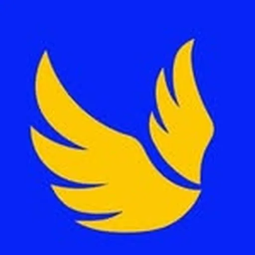 @angelcitysports profile image