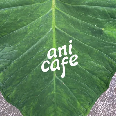 @ani__cafe profile image