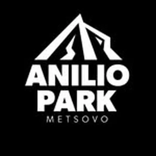 @aniliopark profile image