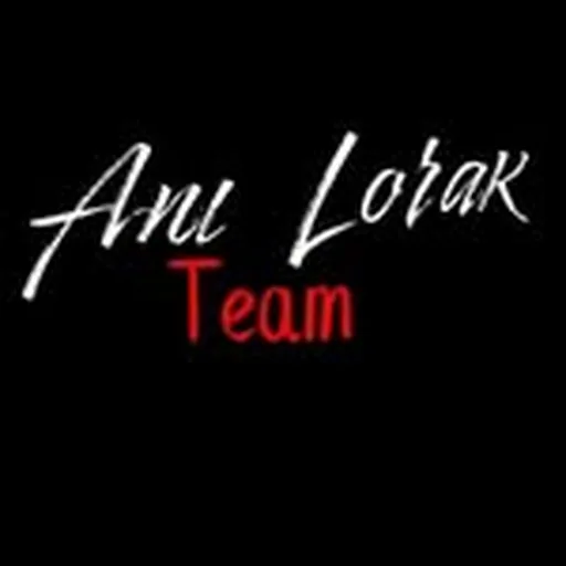 @anilorak.team profile image