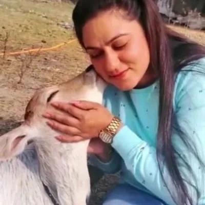 @animal_feeding profile image