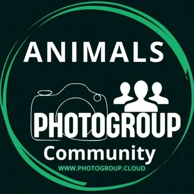 @animals_photogroup profile image
