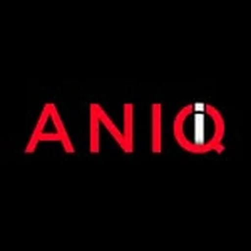 @aniqi.studios profile image