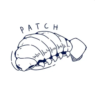 @anisopod profile image