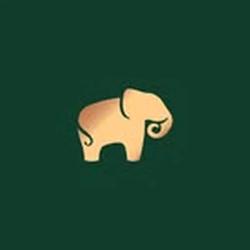 @anitadongre profile image
