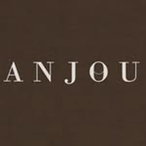 @anjouofficial profile image