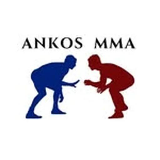 @ankosmma profile image