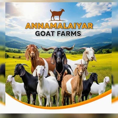 @annamalaiyar_goatfarm profile image