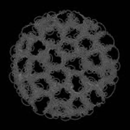 @anonymesociete profile image