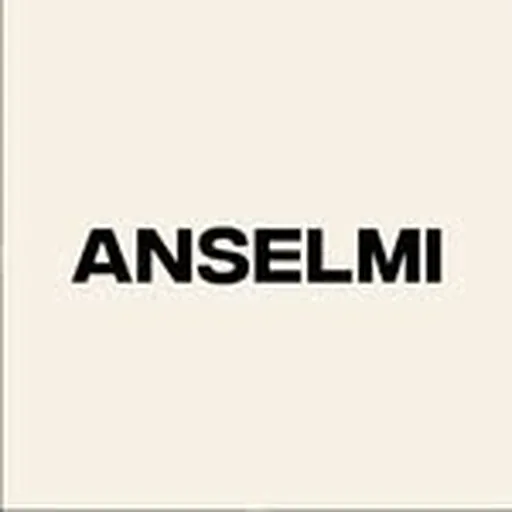 @anselmi profile image