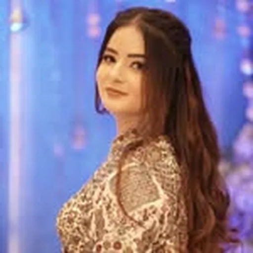 @anshu__y23 profile image