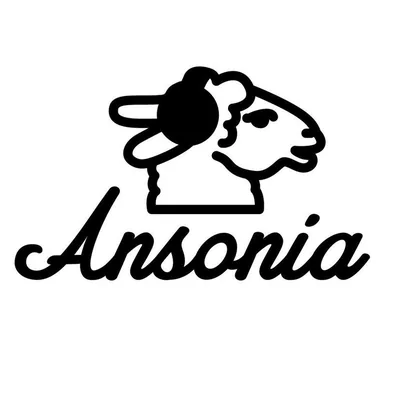 @ansoniarecords profile image