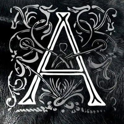 @antikcr profile image