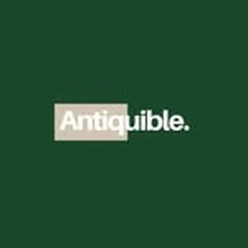 @antiquible profile image