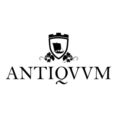@antiqvvm profile image
