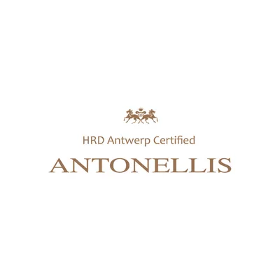 @antonellishrd profile image
