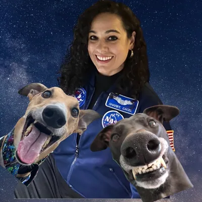 @anubis_the_greyt profile image