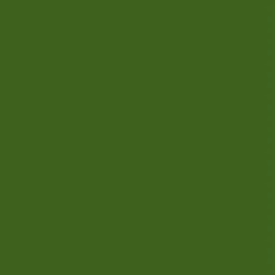 @anvitacommunity profile image