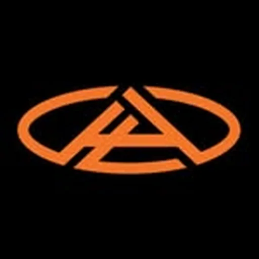 @anylevellift profile image