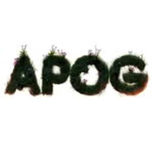 @anypatchofgrass profile image